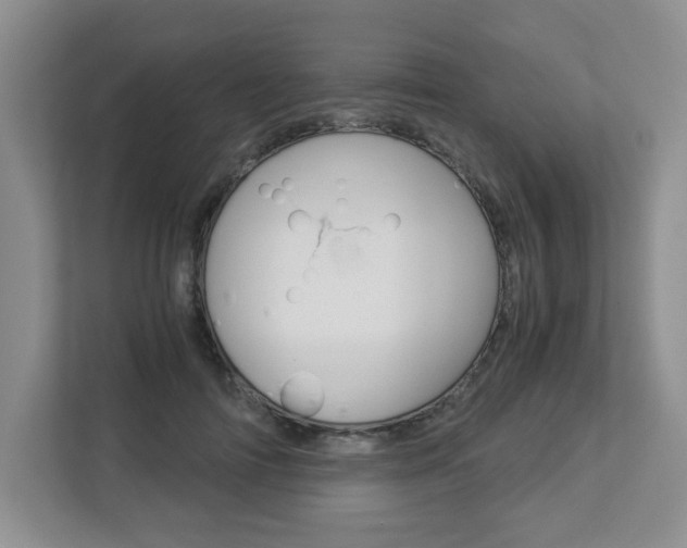 X0000112900698200908211050