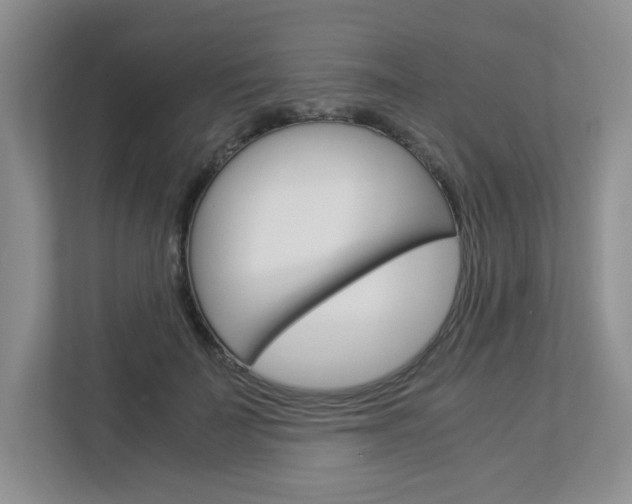 X0000112900699200908211050