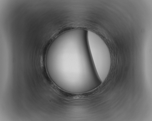 X0000112900700200908211050
