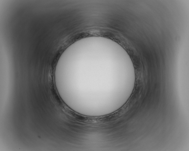 X0000112900702200908211050