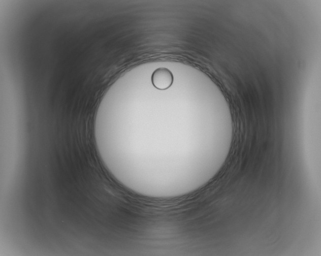 X0000112900704200908211050