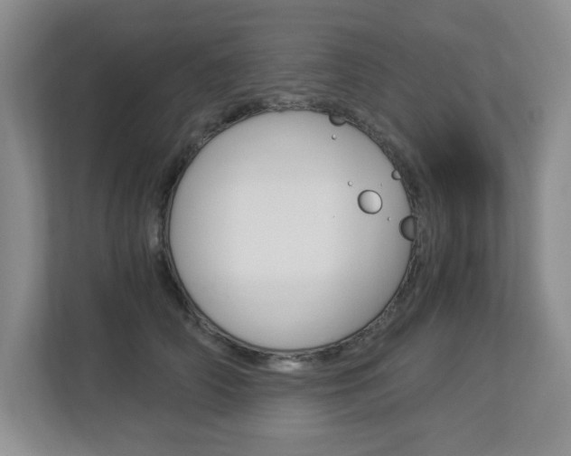 X0000112900706200908211050