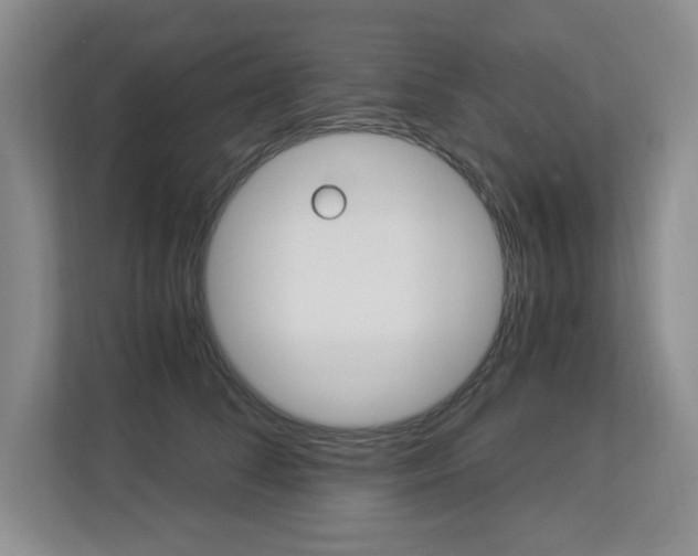X0000112900708200908211050