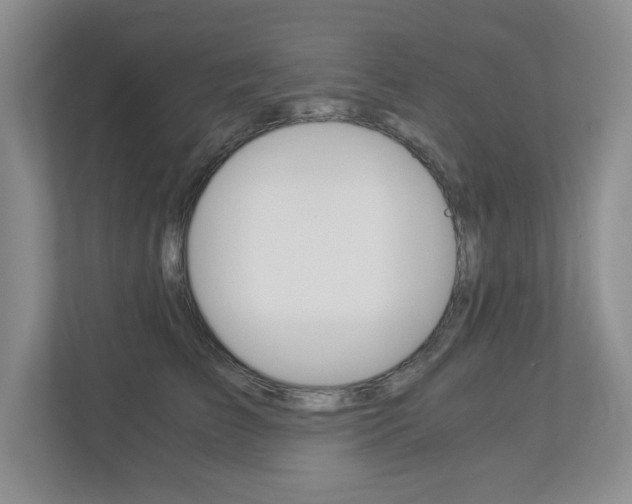X0000112900709200908211050