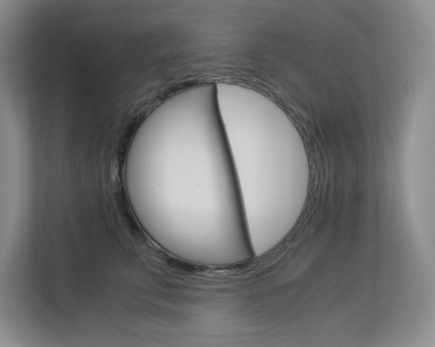 X0000112900711200908211050