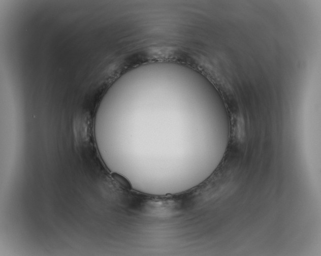 X0000112900712200908211050