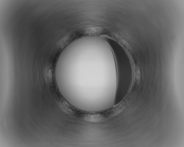 X0000112900716200908211050