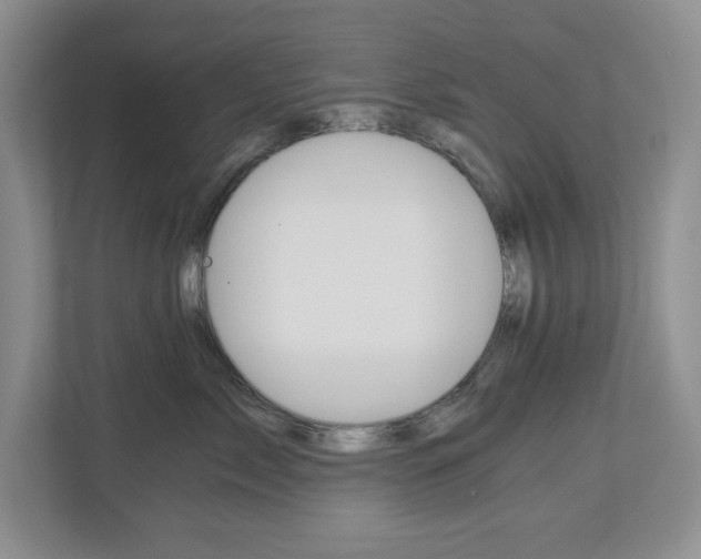 X0000112900717200908211050