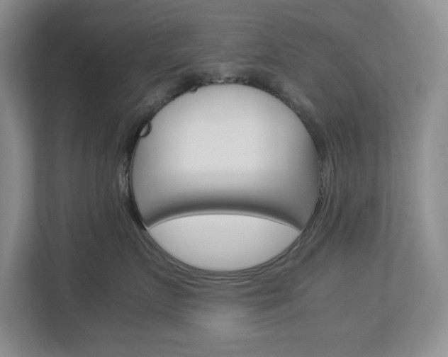 X0000112900719200908211050