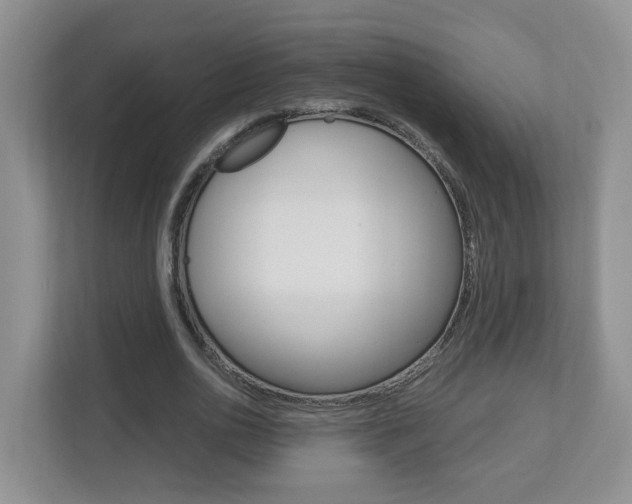 X0000112900726200908211050