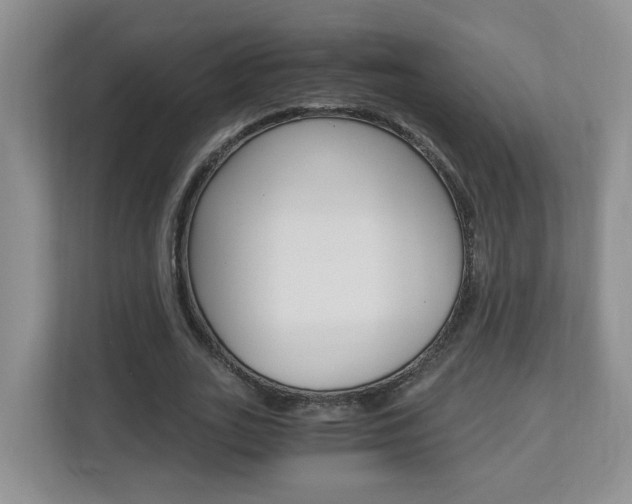 X0000112900727200908211050