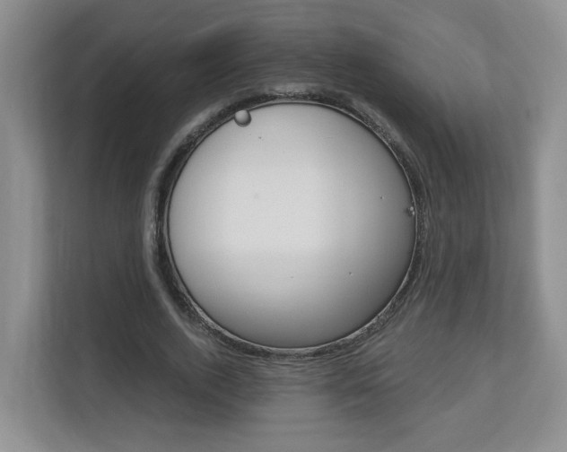 X0000112900728200908211050