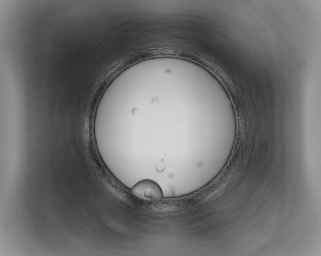 X0000112900729200908211050