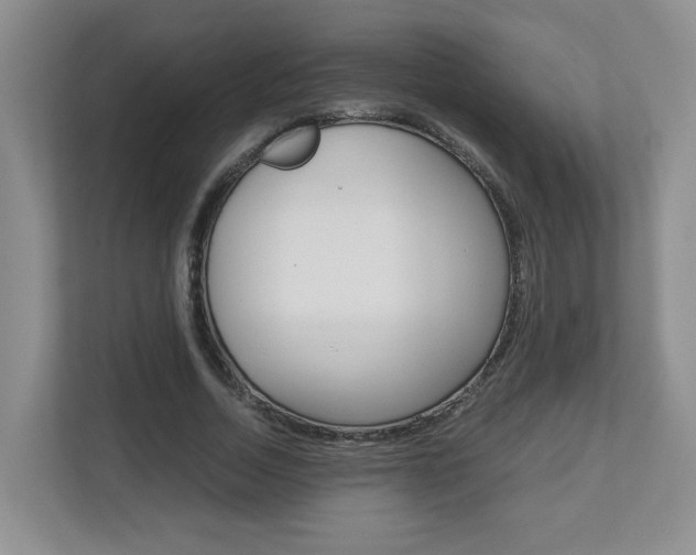 X0000112900730200908211050