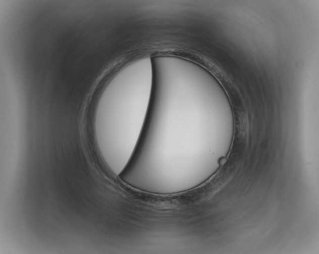 X0000112900731200908211050