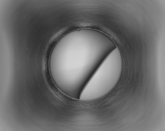 X0000112900732200908211050
