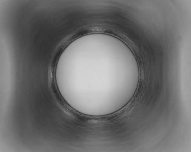 X0000112900733200908211050