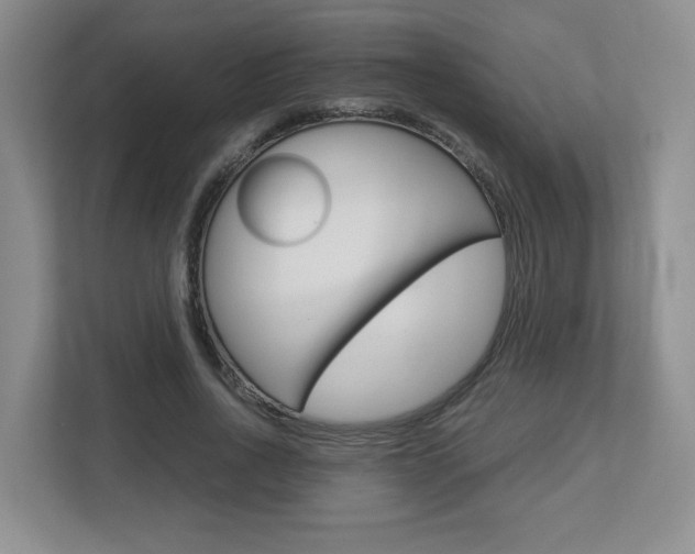 X0000112900734200908211050