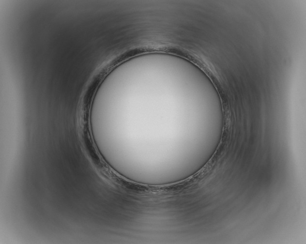 X0000112900736200908211050