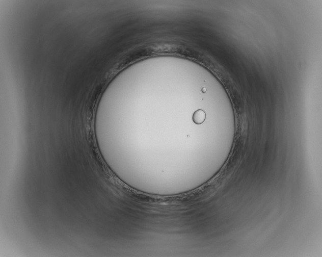 X0000112900737200908211050