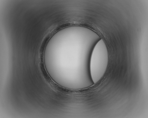 X0000112900738200908211050