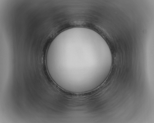 X0000112900739200908211050