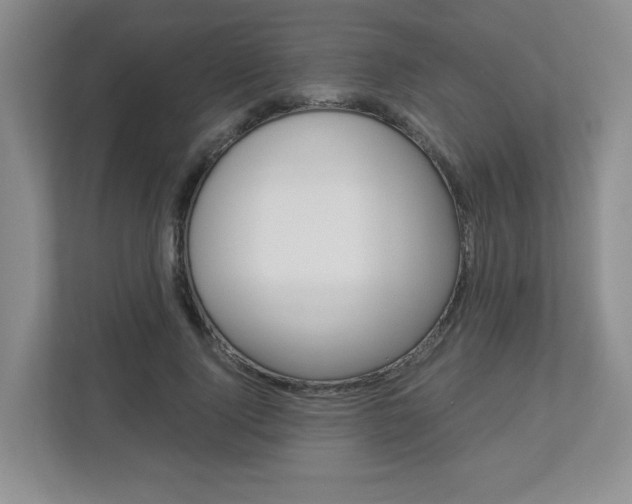 X0000112900740200908211050