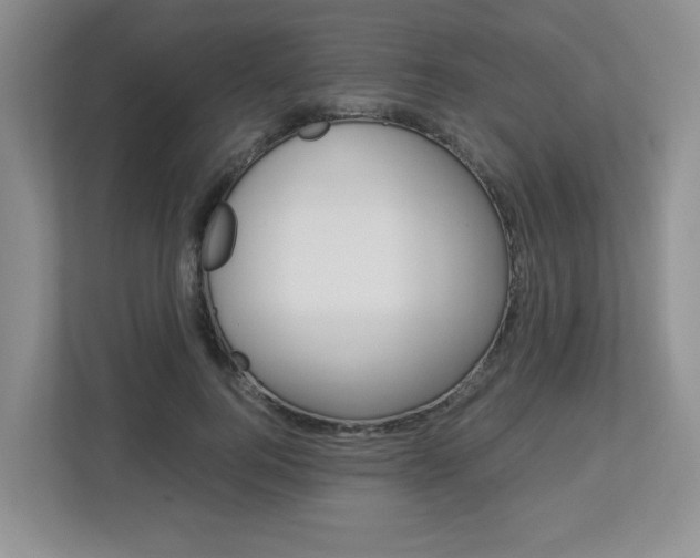 X0000112900744200908211050