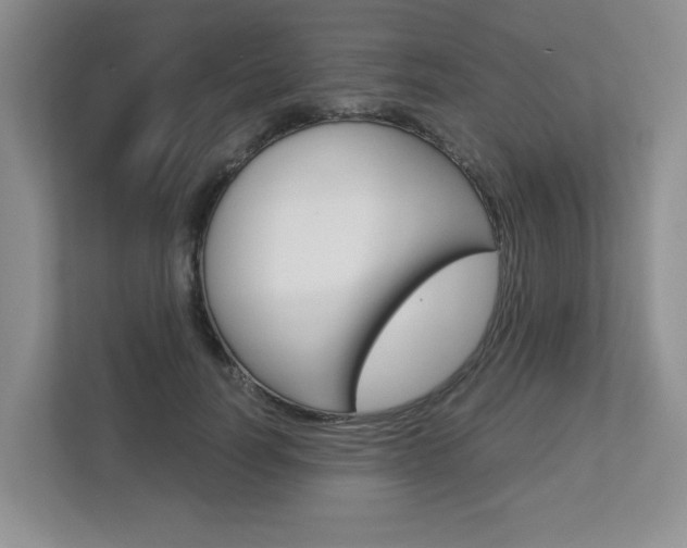 X0000112900746200908211050