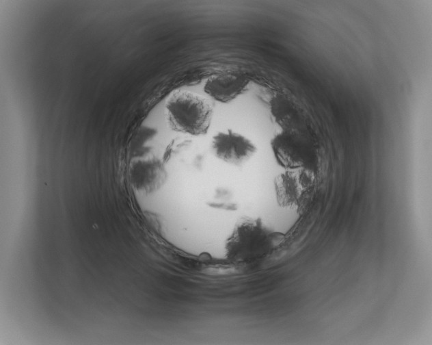 X0000112900749200908211050