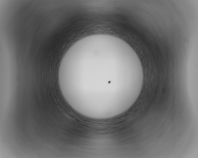 X0000112900752200908211050