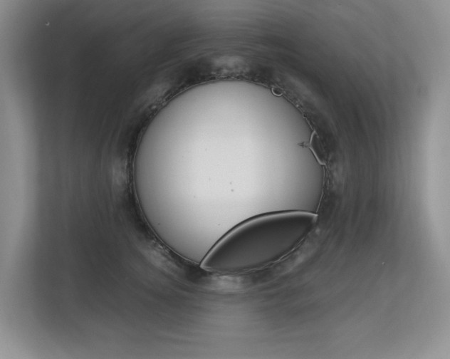 X0000112900756200908211050