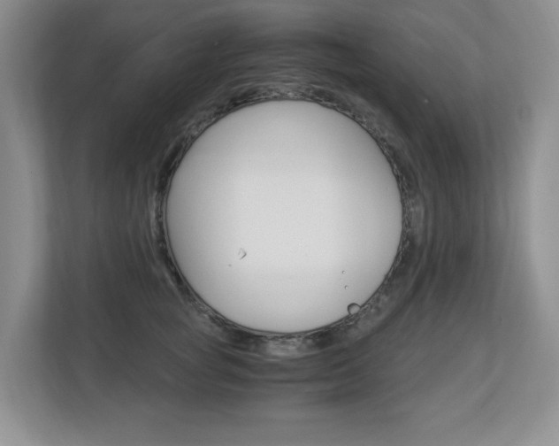 X0000112900757200908211050
