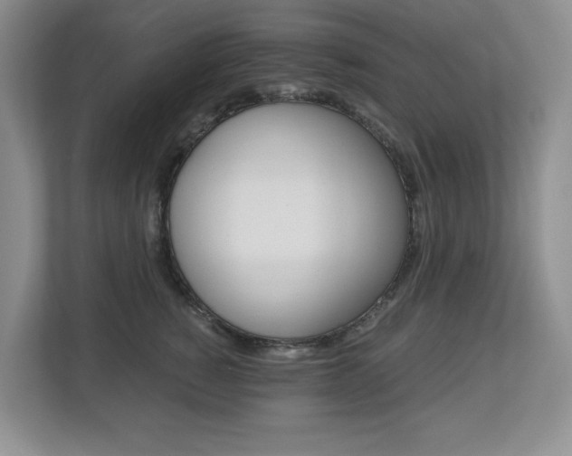 X0000112900760200908211050