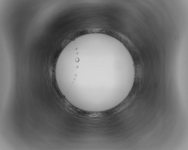 X0000112900761200908211050