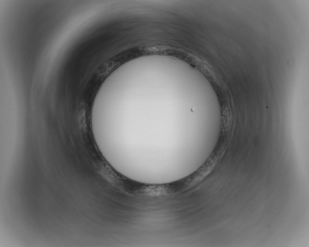 X0000112900762200908211050