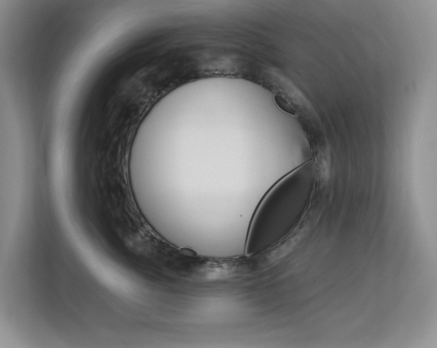 X0000112900764200908211050