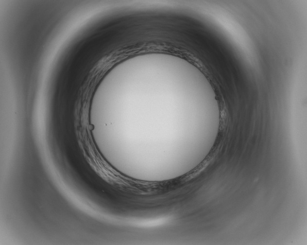 X0000112900765200908211050