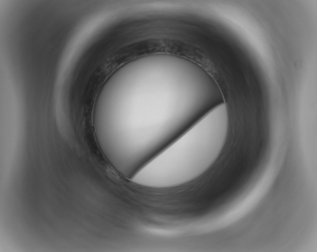 X0000112900766200908211050
