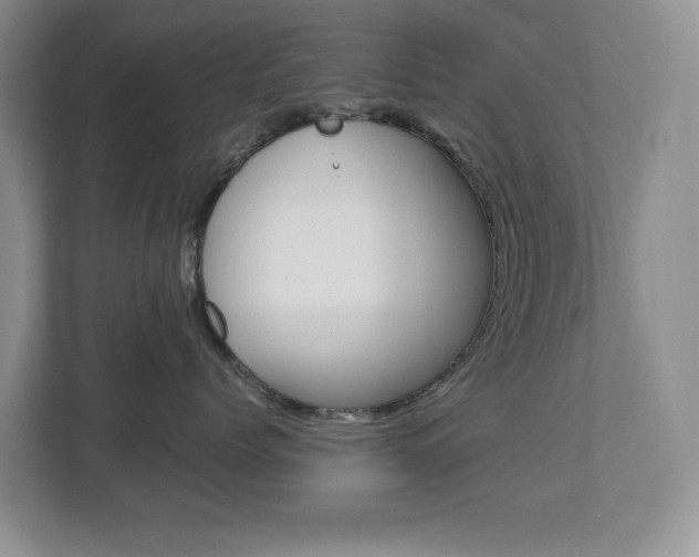 X0000112900768200908211050