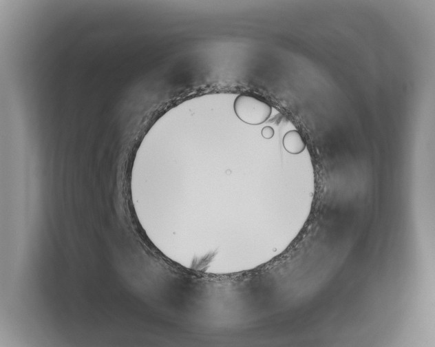 X0000112900769200908211049
