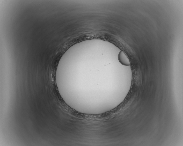 X0000112900770200908211049
