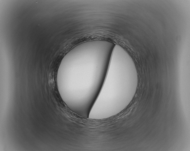 X0000112900771200908211049