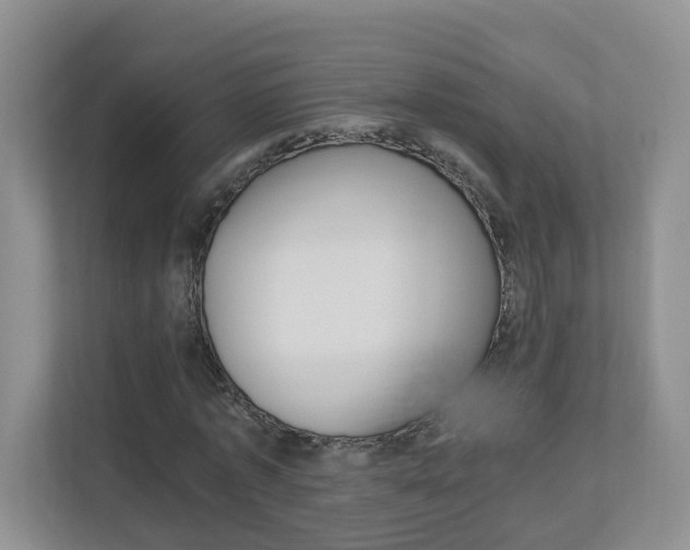 X0000112900773200908211049