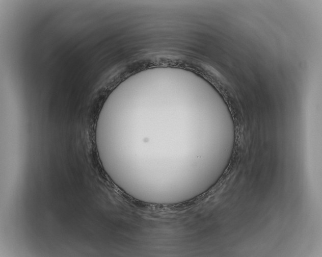 X0000112900774200908211049