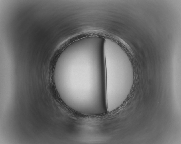 X0000112900775200908211049