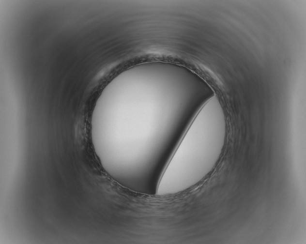 X0000112900776200908211049