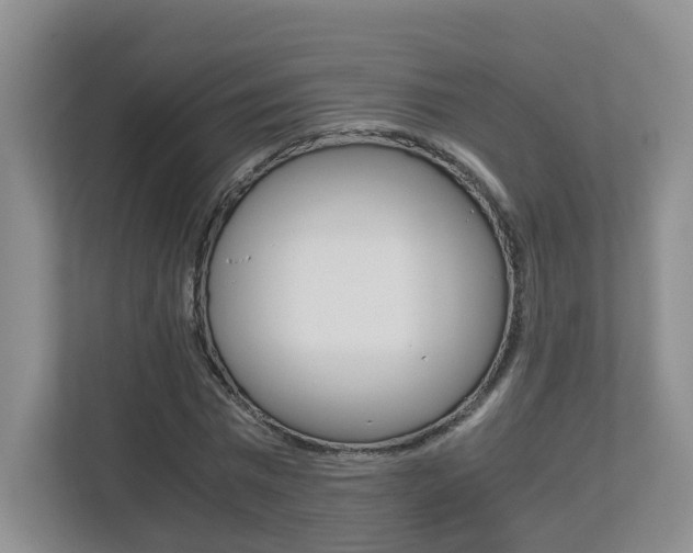 X0000112900777200908211049