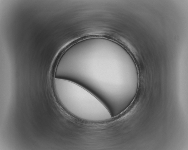 X0000112900779200908211049