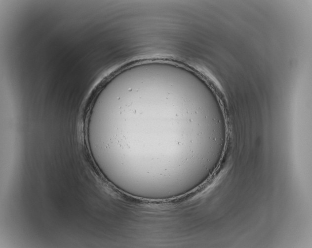 X0000112900781200908211049